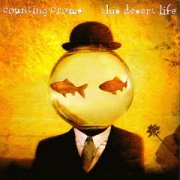 Counting Crows, 'This Desert Life'