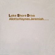 Aliotta Haynes Jeremiah, 'Lake Shore Drive'
