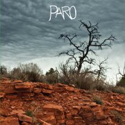 Brice Randall Bickford, 'Paro'