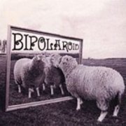 Bipolaroid, 'Transparent Make-Believe'