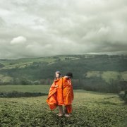 Cobalt Chapel, 'Orange Synthetic'