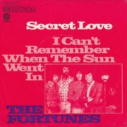 The Fortunes, 'Secret Love'