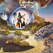 Steve Howe, 'Beginnings'