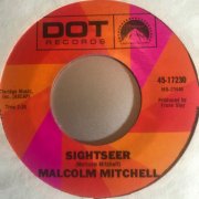 Malcolm Mitchell, 'Sightseer'