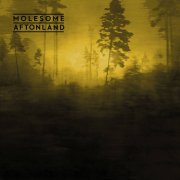 Molesome, 'Aftonland'