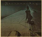 Necromonkey, 'A Glimpse of Possible Endings'