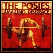 Posies, 'Amazing Disgrace'