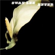 Swan Lee, 'Enter'