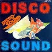 'Disco Sound (Hits in Instrumentalfassung)'