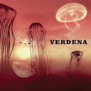 Verdena, 'Solo un Grande Sasso'