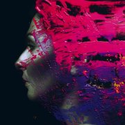 Steven Wilson, 'Hand. Cannot. Erase.'