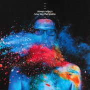 Steven Wilson, 'How Big the Space'