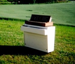 Wobbler's Mellotron & MiniMoog